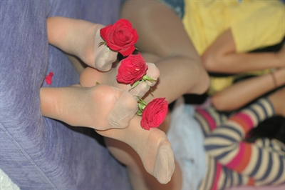 Thumnail / 0 / 10 / 49